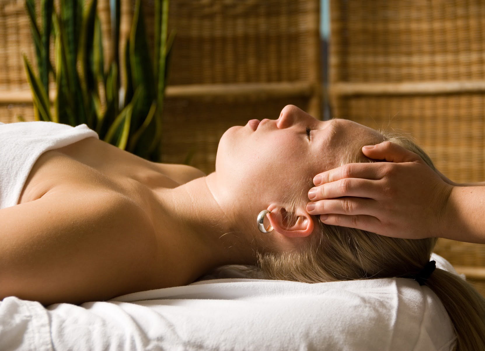 El poder del Reiki