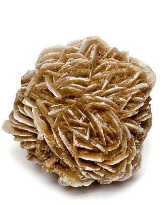 Flor del desierto.